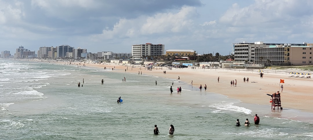 a group of people on a beach