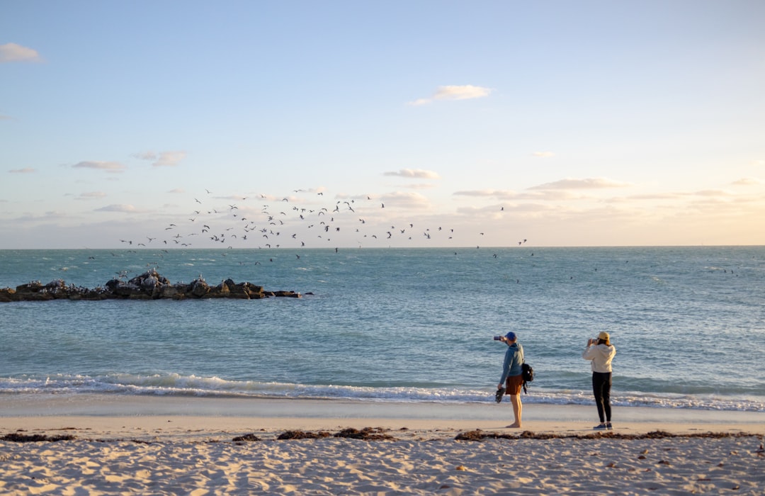 People on beach watching birds fly over ocean.