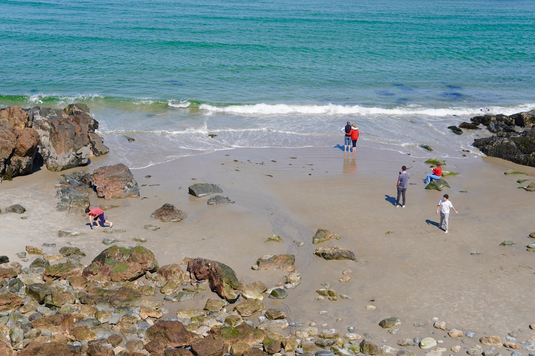 People enjoying a sunny day on a rocky beach.