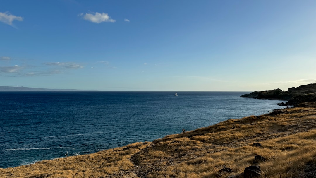 A view of a body of water from a hill