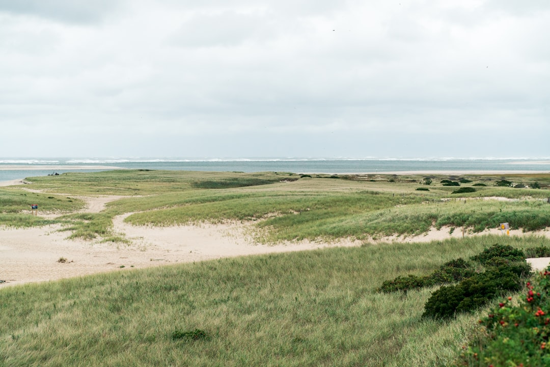 Dune grass and beach along the Cape Cod shore near Chatham