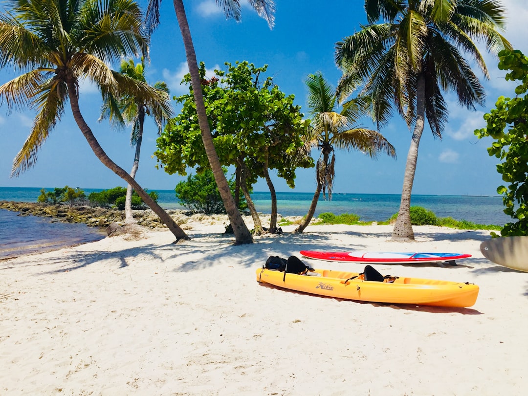 Kayaks and palm trees on the white sand beach at Key West, Florida