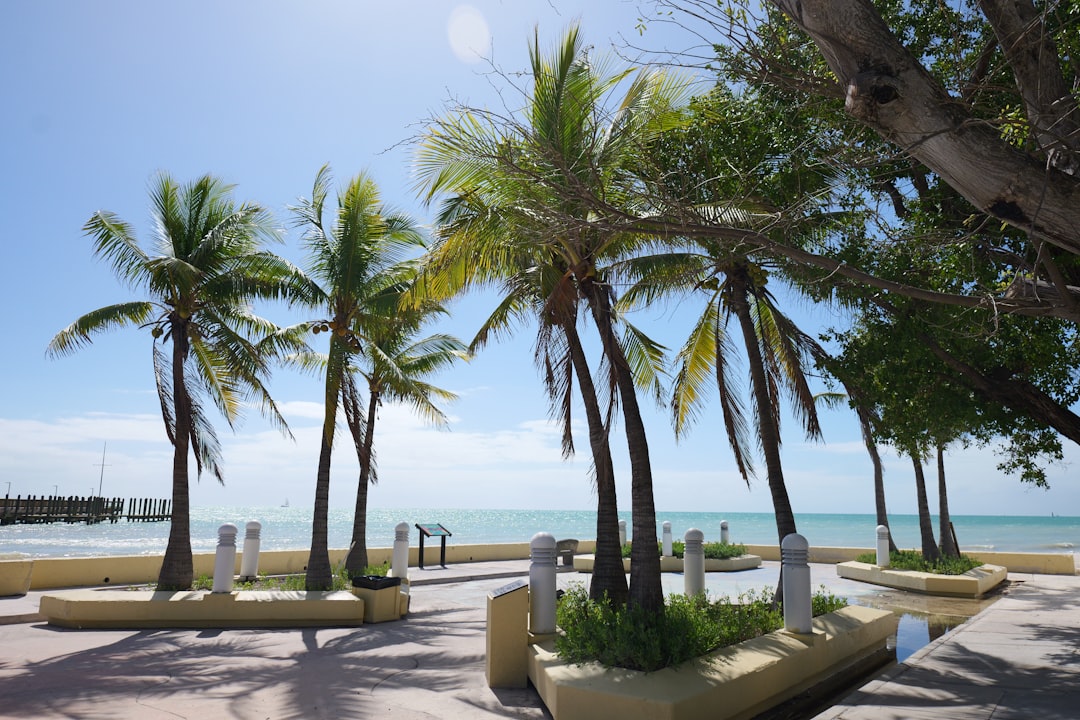 A palm-lined waterfront promenade at Key West, Florida