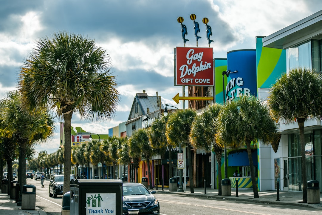 Shops and palmetto trees along the main strip at Myrtle Beach, South Carolina