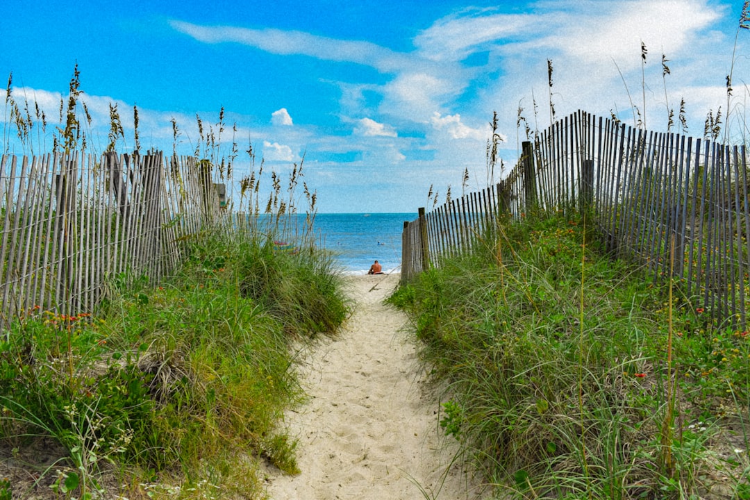 A sandy path through sea oats to the beach in the Outer Banks, North Carolina
