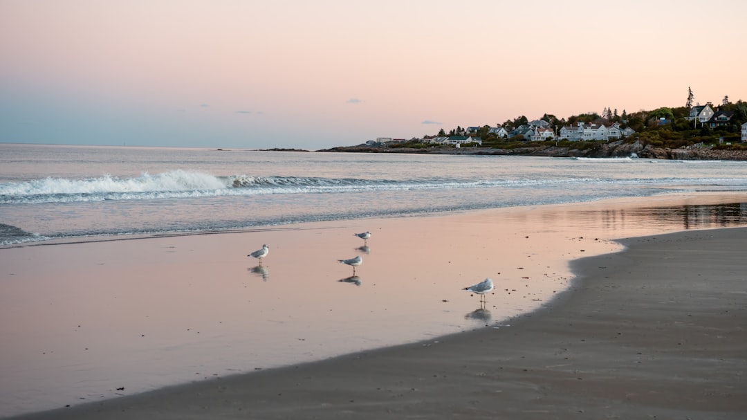 The sandy beach and cottages at Ogunquit, Maine at sunset