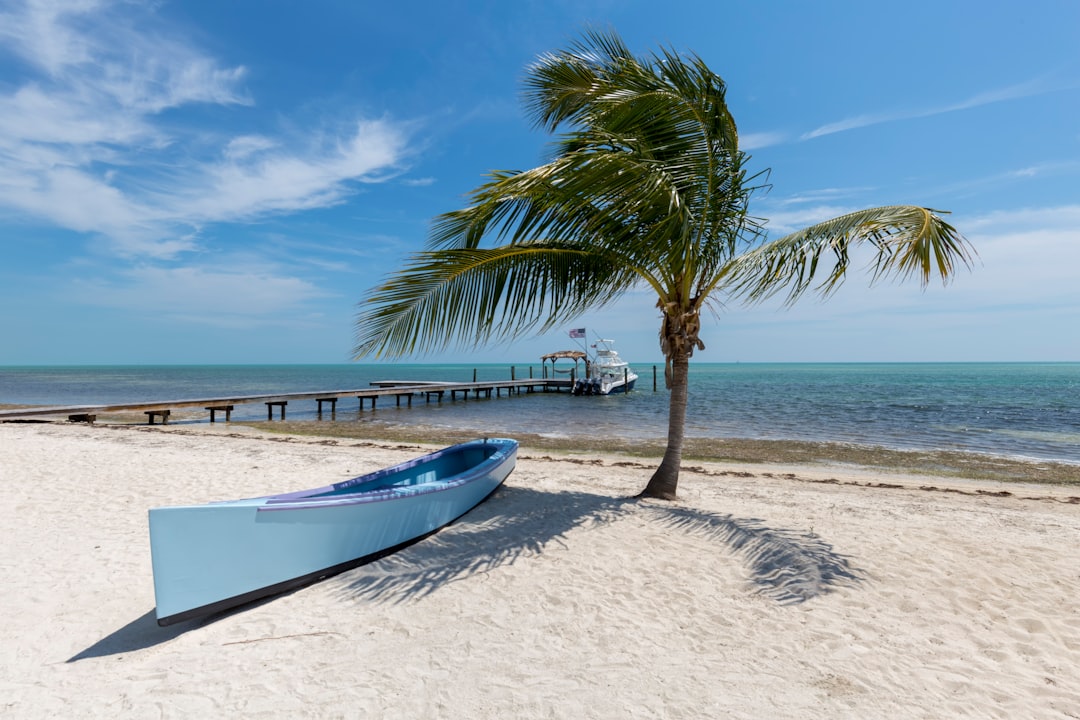 A small boat and palm trees on the white sand at Siesta Key, Florida