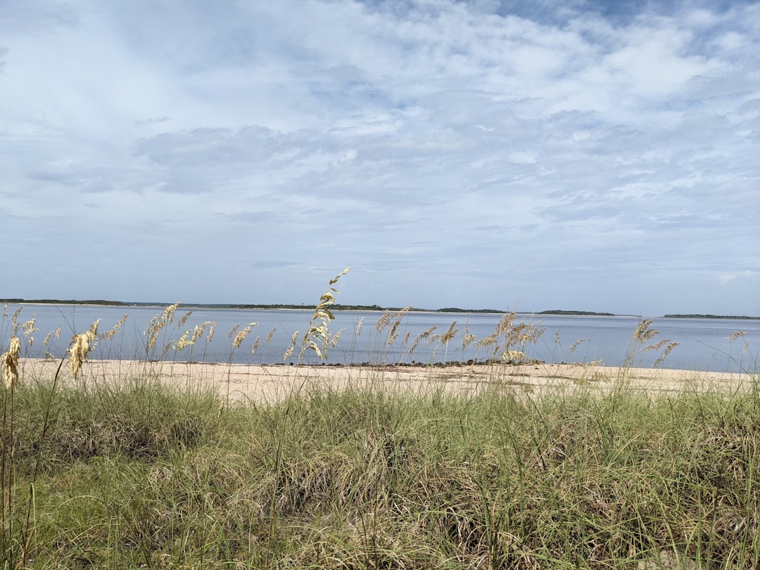 Sea oats and dunes along the beach at St. George Island, Florida