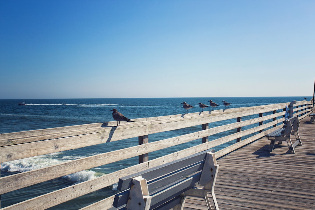 Benches along the boardwalk beside the ocean at Virginia Beach, Virginia