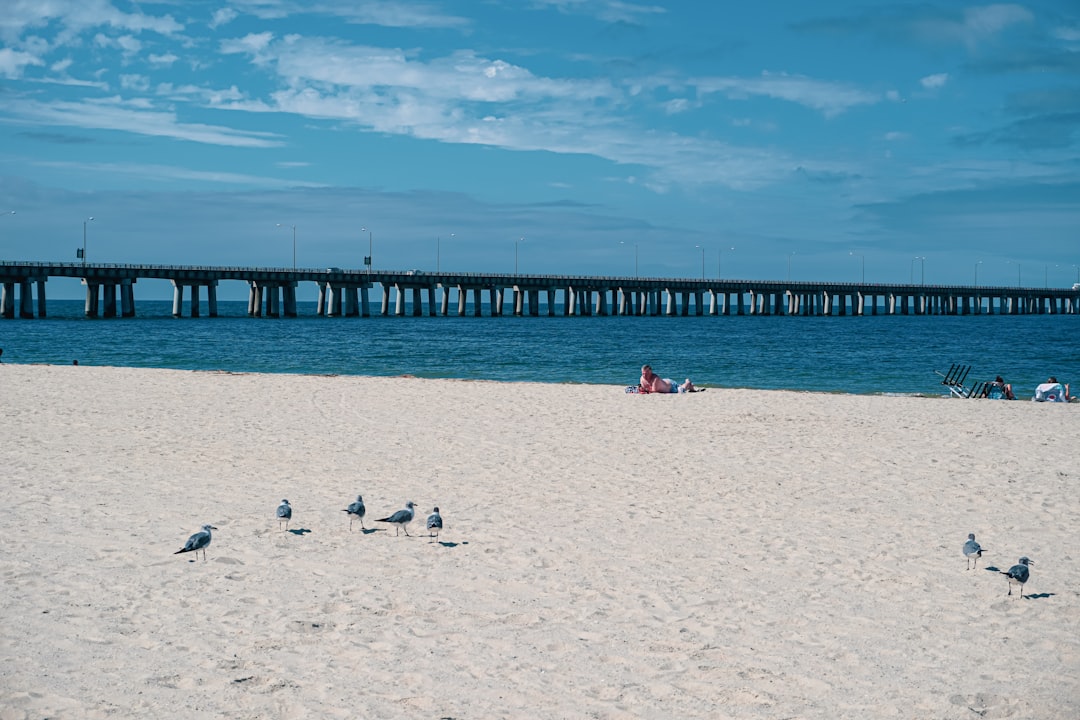 The wide sandy beach and fishing pier on a clear day at Virginia Beach, Virginia