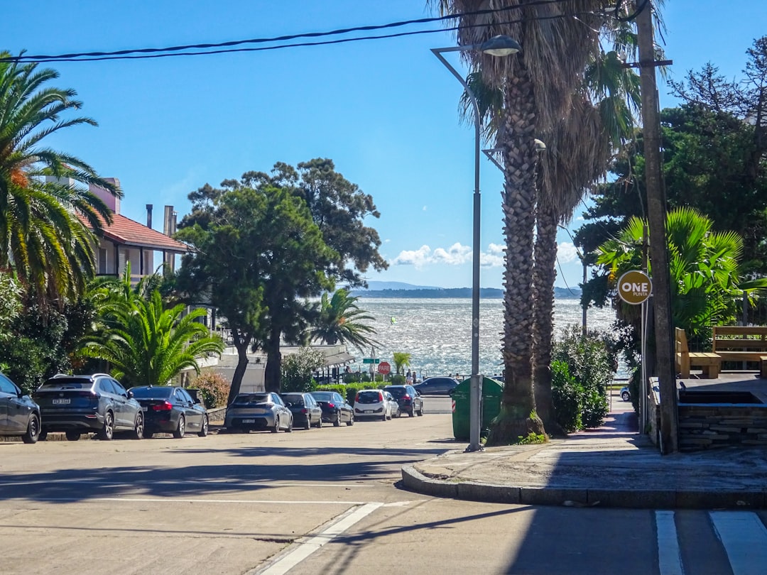 Street with parked cars and palm trees overlooking ocean.