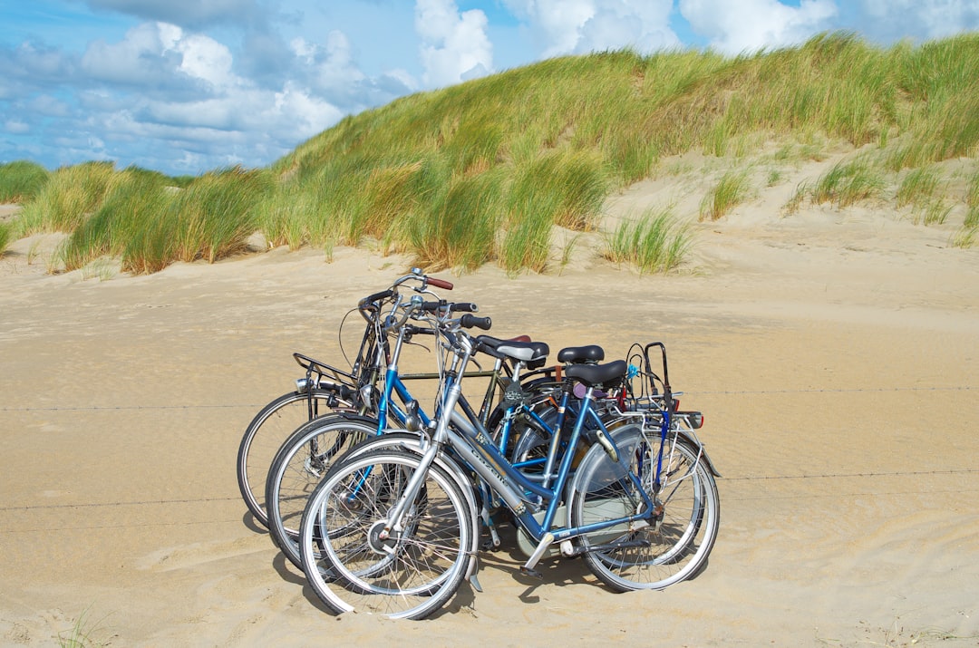 Bikes parked on the sand beside a low grassy dune
