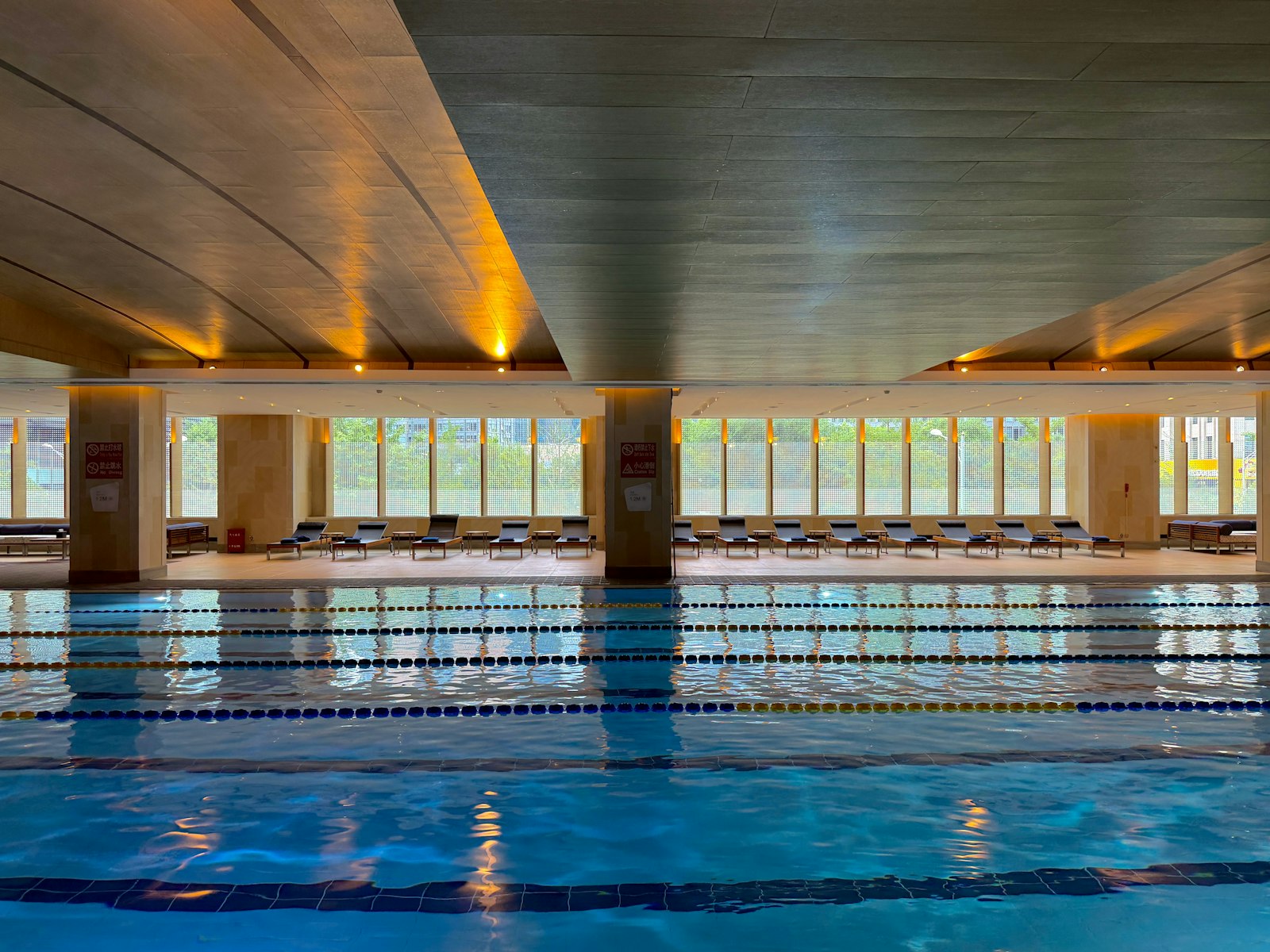 Bright modern indoor hotel pool with a warm wood ceiling and green trees through the windows