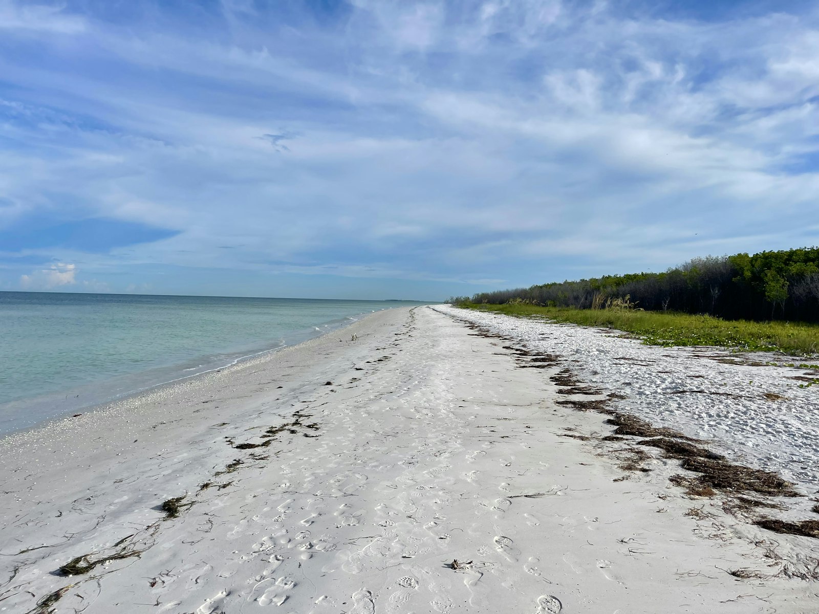 An empty white sand beach backed by pine woods at Alligator Point, Florida