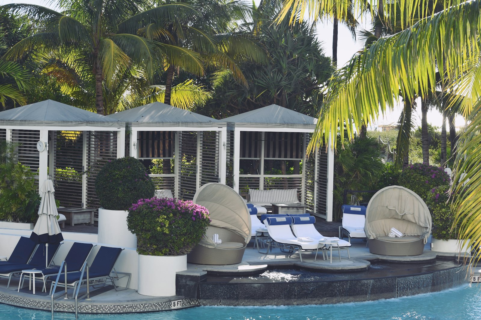 Florida resort pool deck with white cabanas, sun loungers and palm trees