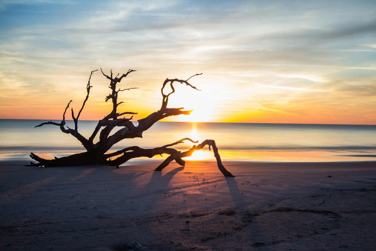 Driftwood Beach at sunrise on Jekyll Island, Georgia