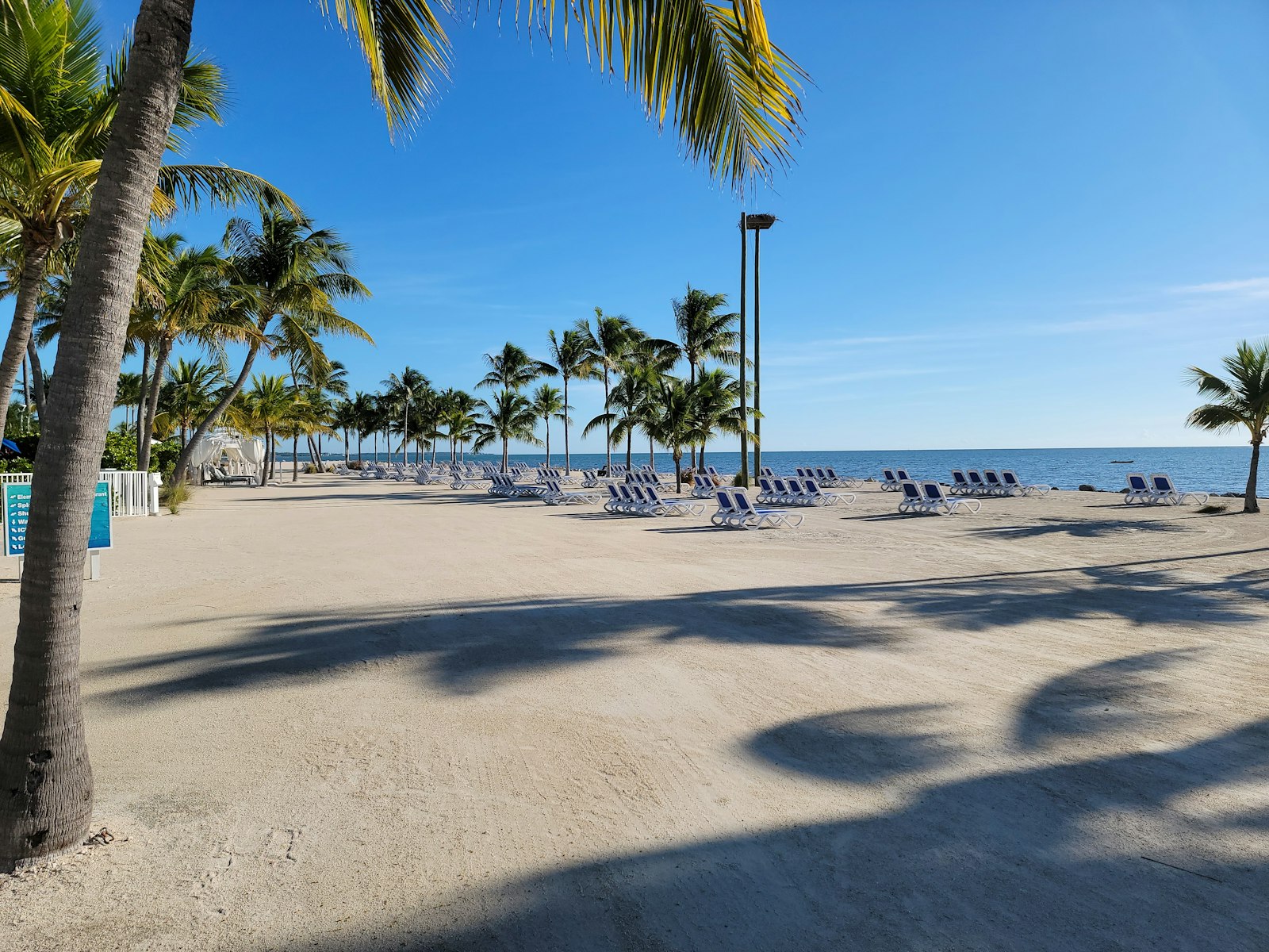 Empty lounge chairs and palms casting long morning shadows on a flat sand beach in Islamorada, Florida