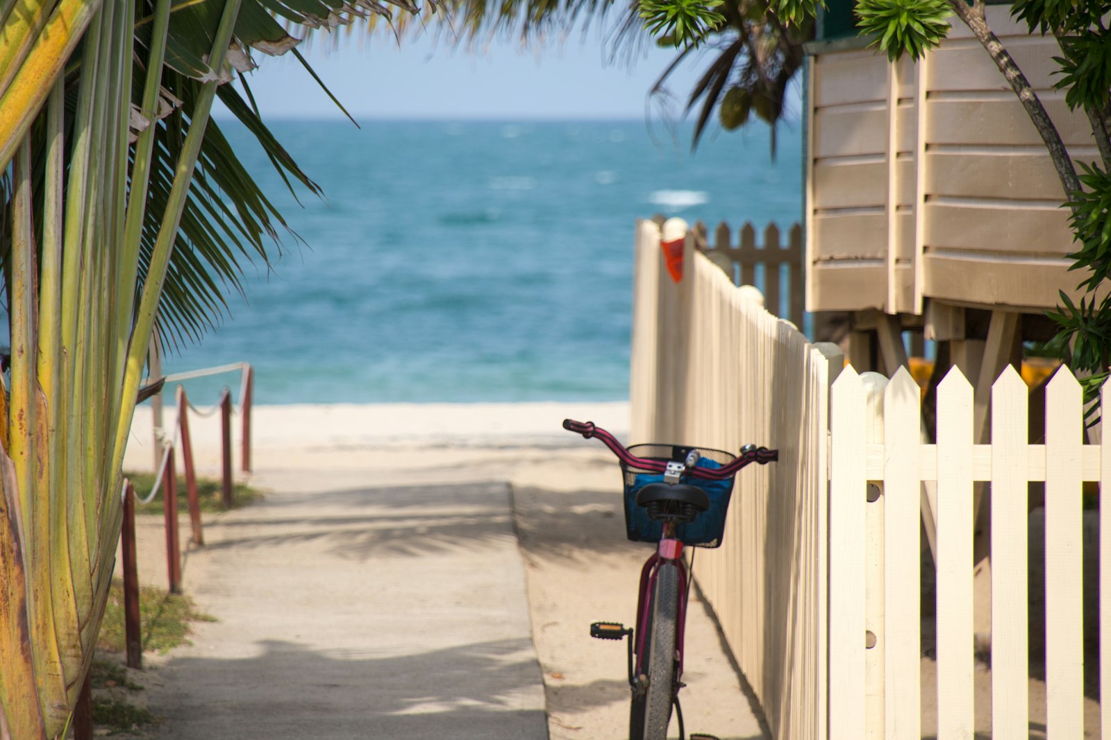 A bicycle leaning on a white picket fence on a sandy path to a turquoise sea in Key West, Florida